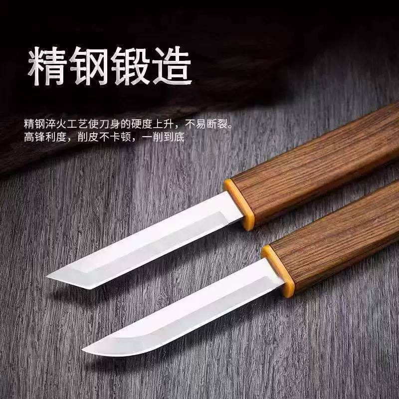 Portable Stainless Steel Fruit Carving Knife with Wooden Case | Mini Paring Knife | Kitchen Peeling & Craft Knife